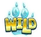 WolfCub Wild