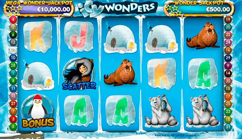 Icy Wonders