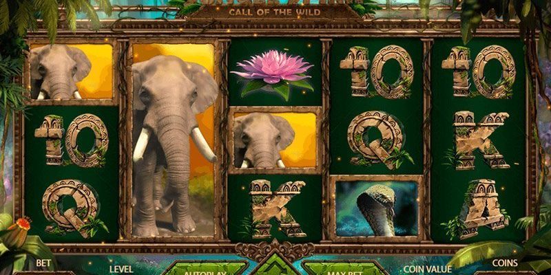 Jungle Spirit: Call of the Wild™