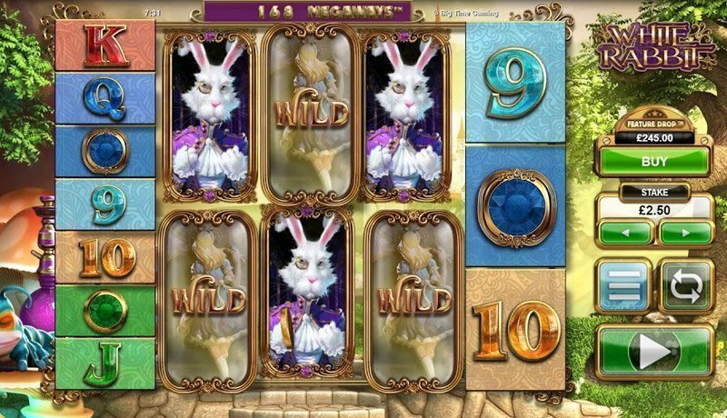 White Rabbit