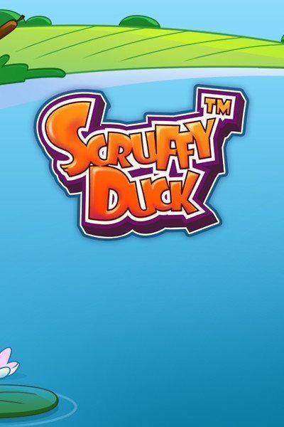 Scruffy Duck