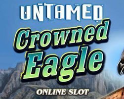 Untamed Crowned Eagle
