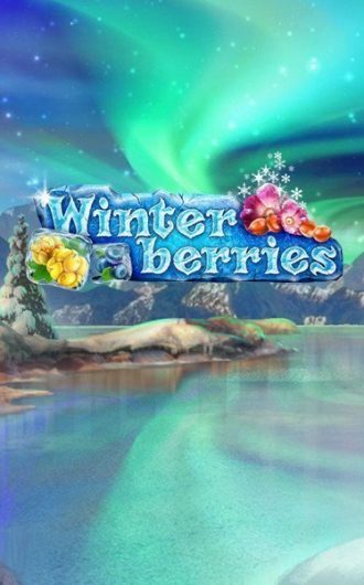 Winter Berries