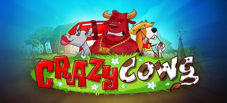 Crazy cows casino slot