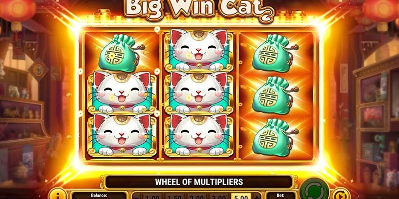 Big Win Cat