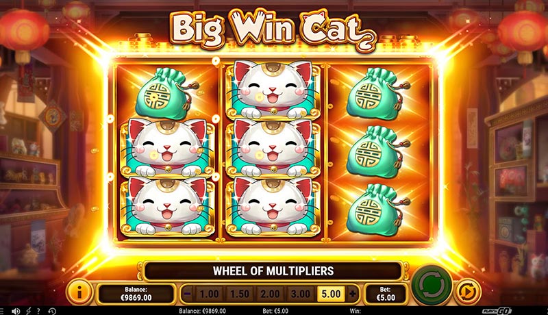 Big Win Cat