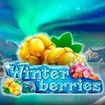 winterberries-slot