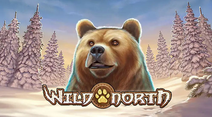 Wild North från Play'n Go.