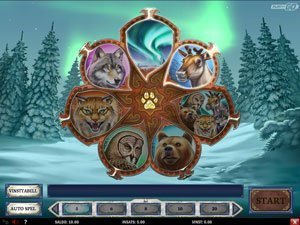 Wild North