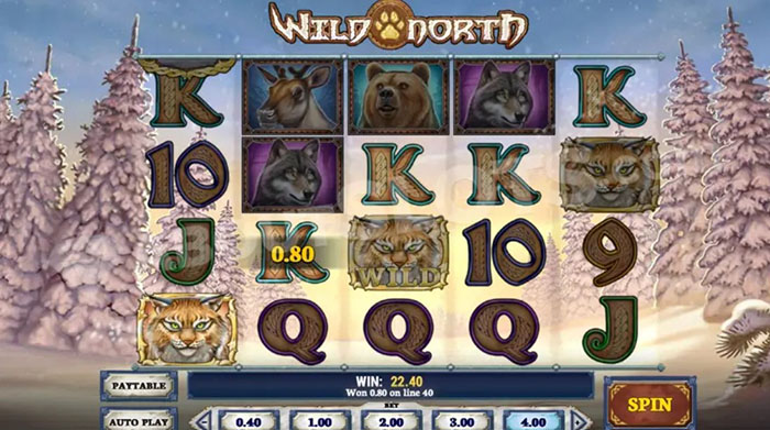 Wild North spelautomat.