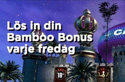 Royal Panda Bamboo bonus