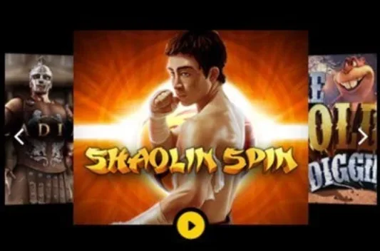 GoWild Shaolin Spin