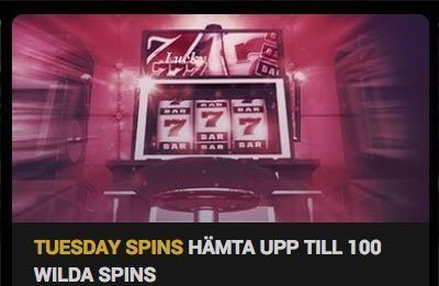 GoWild Tuesday Spins