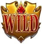 Wildsymbol