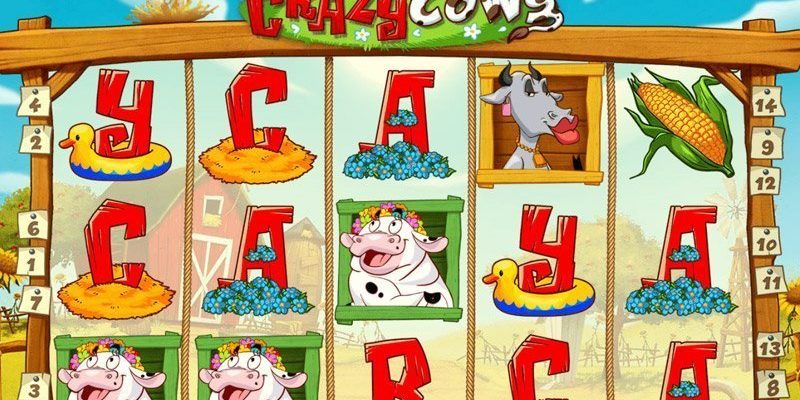 Crazy Cows