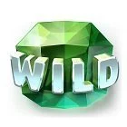 wildsymbol