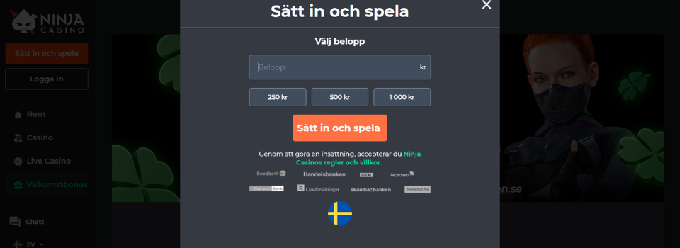 Ninja Casino insättningsbelopp