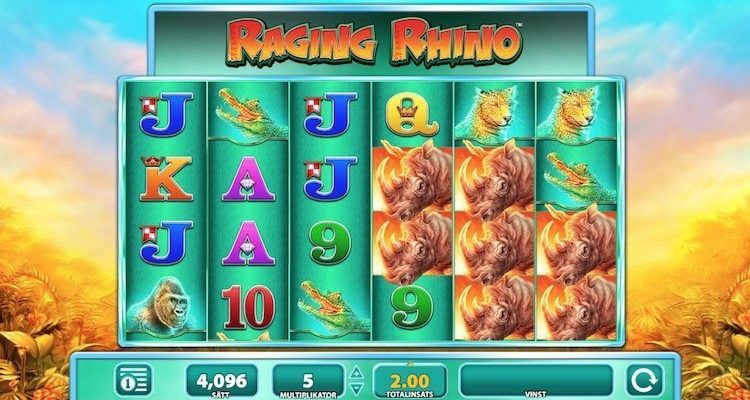 Raging Rhino