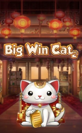 Big Win cat thumbnail