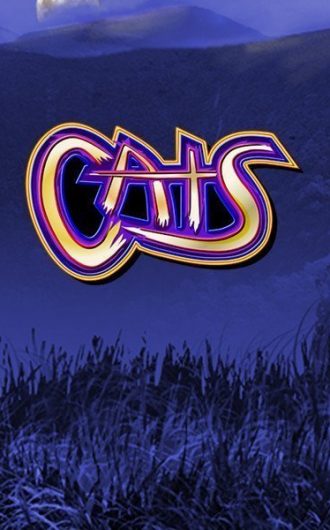Cats and cash
