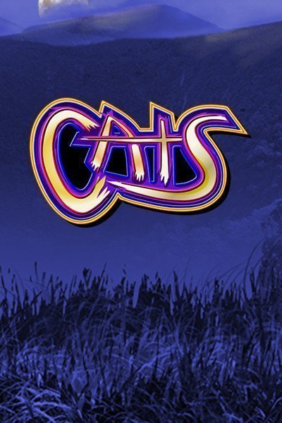 Cats and cash
