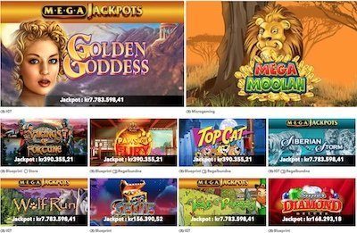WildWins live casino
