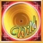 wildsymbol