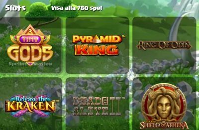 duelz spel