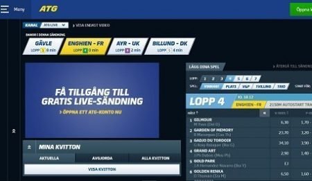 ATG spel på hästar