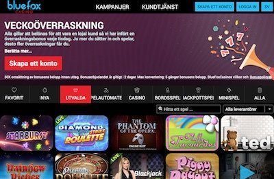 Bluefox Casino