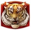 Enraged Tiger symboler