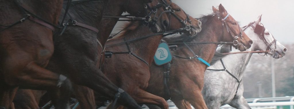 Trav & galopp hästspel