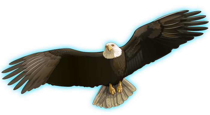 eagle indian spirit