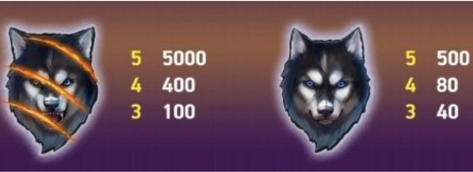 Spinsane supersymboler