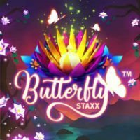 Butterfly Staxx logo