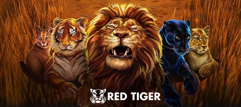 wild cats multilines
