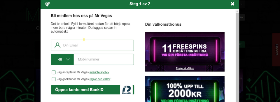 Mr Vegas registreringsfält