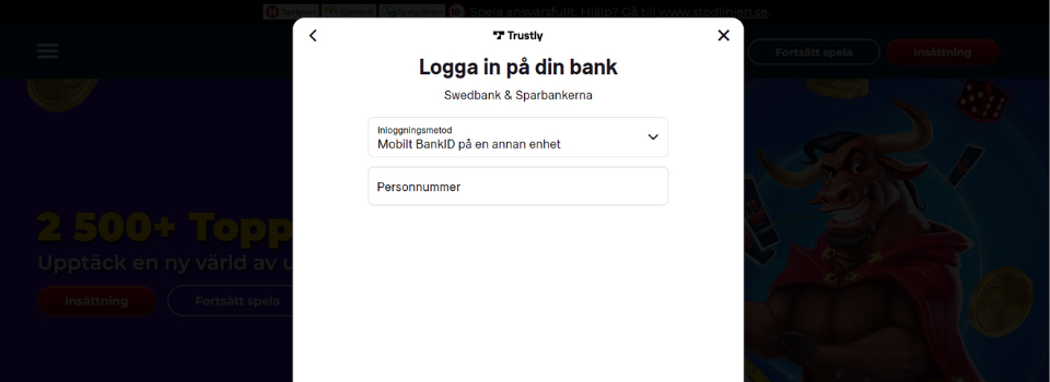 Logga in på din bank hos PlayToro Casino