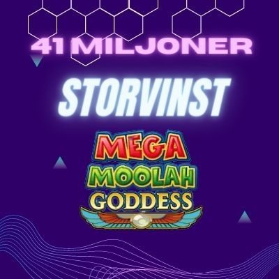 vinst mega moolah goddess