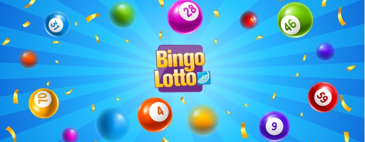 bingolotto bingo bollar