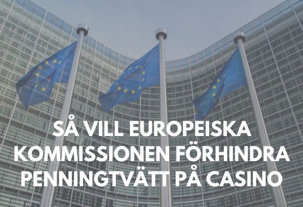 Europeiska kommissionens förslag