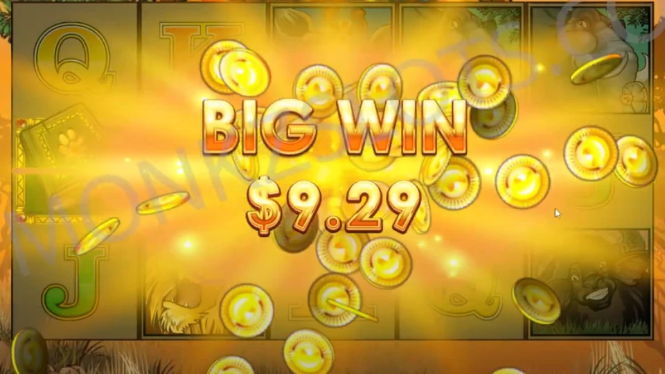 Book of Mega Moolah bonus