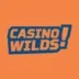 Logo image for Casino Wilds
