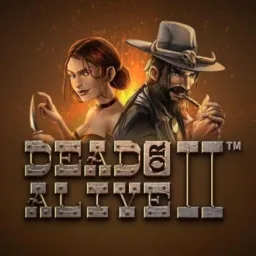 Image for dead or Alive 2
