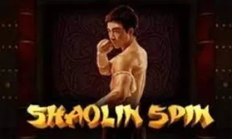 Shaolin Spin logga