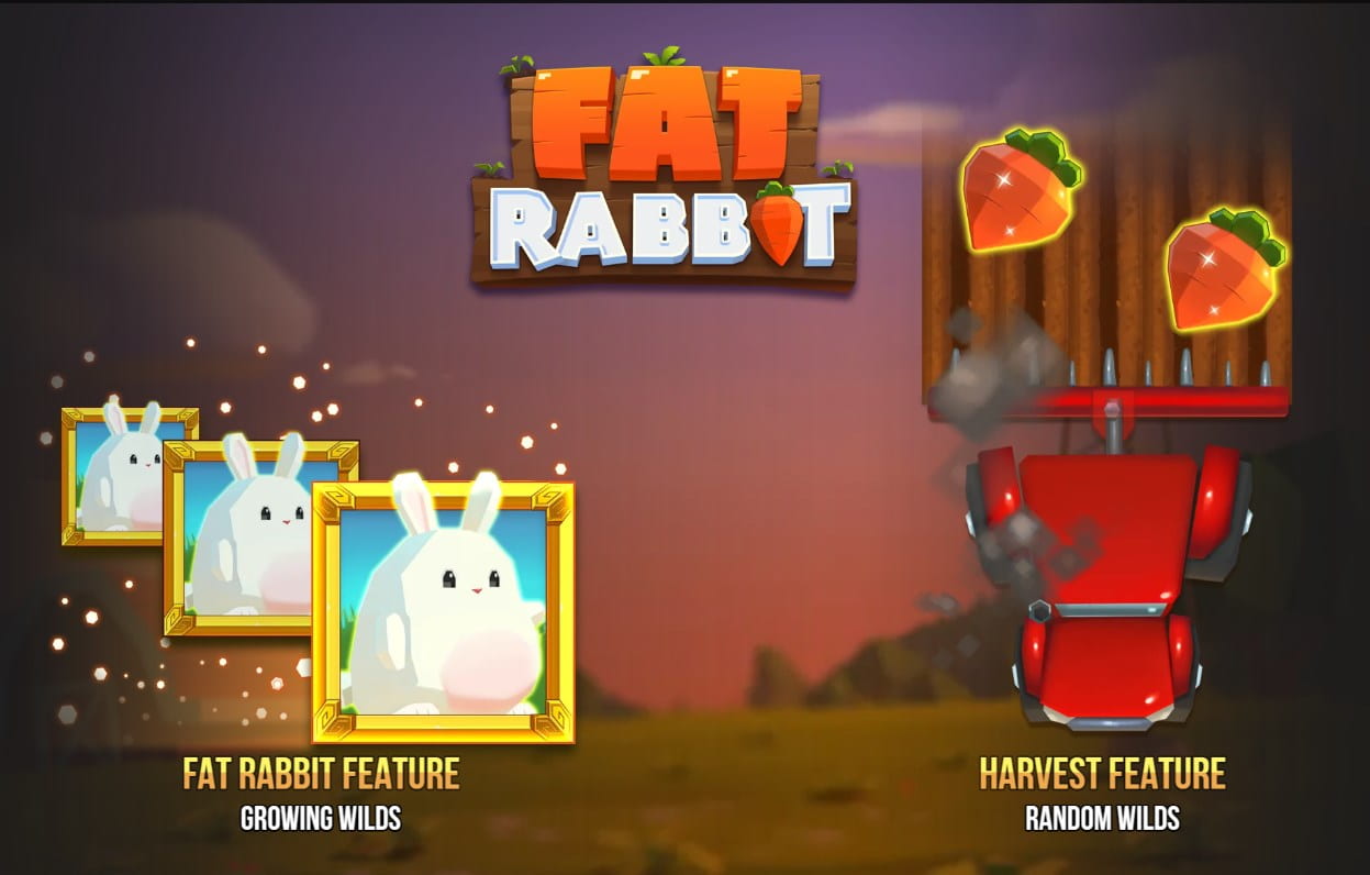 Fat rabbit symboler