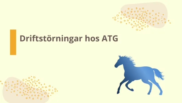 ATG drabbades av driftstörningar under pågående spel