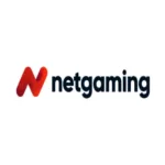 Image for NetGaming
