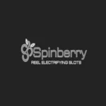 Logo image for Spinberry