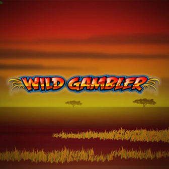 Wild Gambler spelautomat